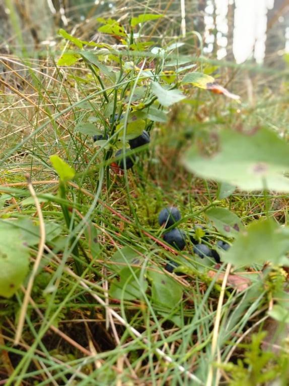 Dwa Jeziora Villa Wejsuny Bagian luar foto